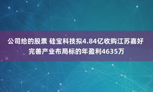 公司给的股票 硅宝科技拟4.84亿收购江苏嘉好 完善产业布局标的年盈利4635万